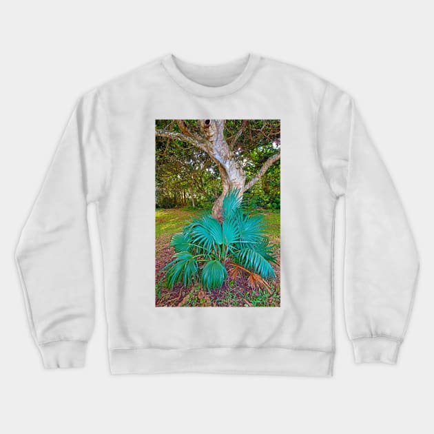Curves and Fronds Crewneck Sweatshirt by bobmeyers